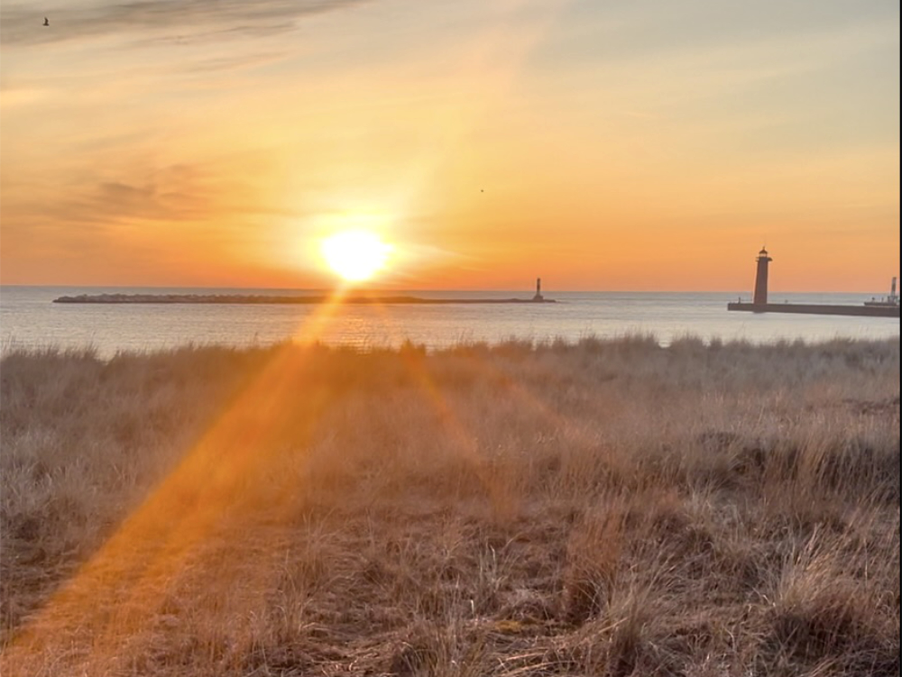 IM Purpose_Feature image